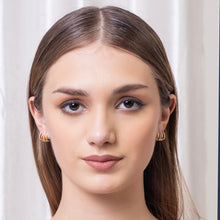 Load image into Gallery viewer, Anti-Tarnish Gold-Plated American Diamond Earring